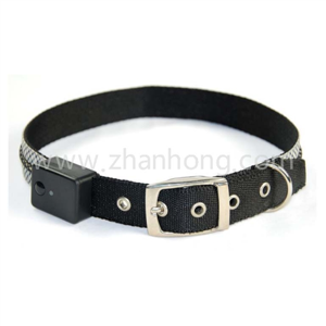 LED Collar 043